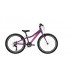 Ballistic Berg 24" Dusky Purple