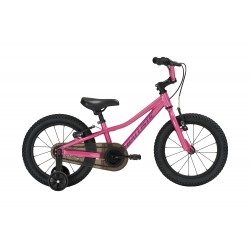 Ballistic Scoop 2.0 14" Stellar Pink