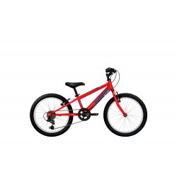 Clermont Freeland 20"