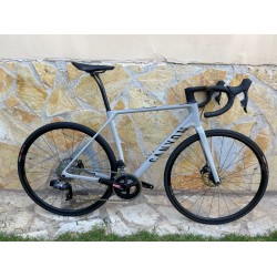 Canyon Endurance CF SL 7 Disc eTap (Used)